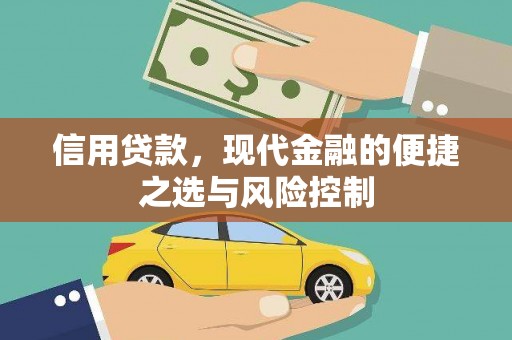 巩义信用贷款，现代金融的便捷之选与风险控制
