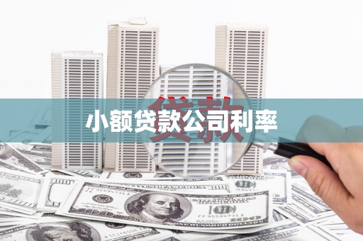 巩义小额贷款公司利率