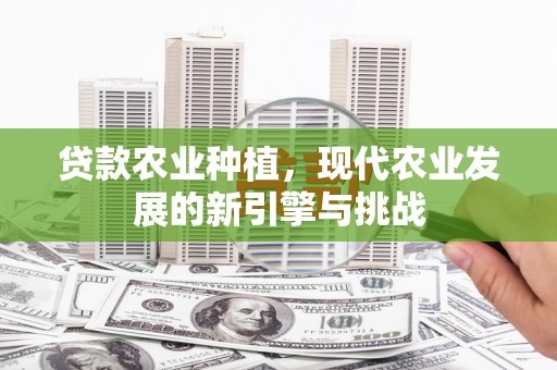 巩义贷款农业种植，现代农业发展的新引擎与挑战