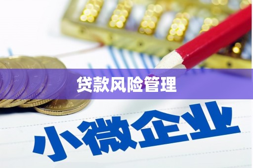 巩义贷款风险管理