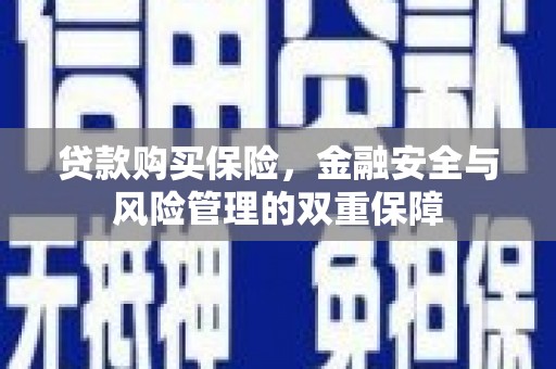 巩义贷款购买保险，金融安全与风险管理的双重保障
