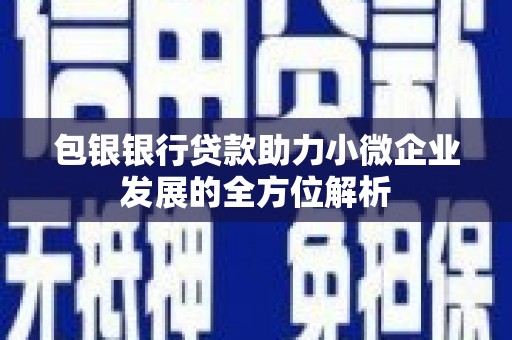 巩义包银银行贷款助力小微企业发展的全方位解析