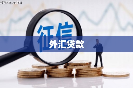 巩义外汇贷款
