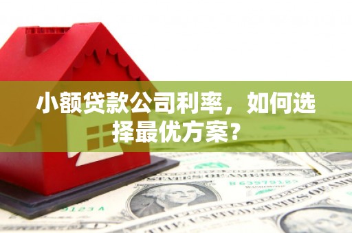 巩义小额贷款公司利率，如何选择最优方案？