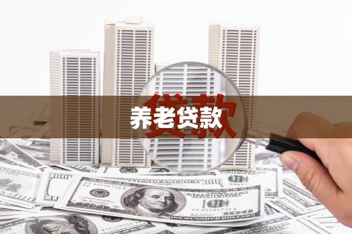 巩义养老贷款