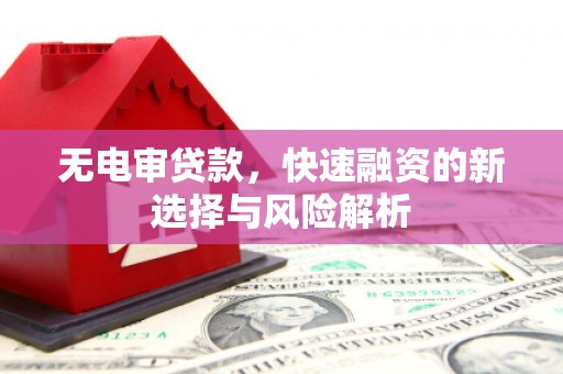 巩义无电审贷款，快速融资的新选择与风险解析