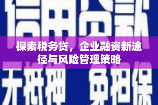 巩义探索税务贷，企业融资新途径与风险管理策略