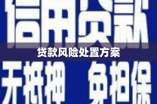 巩义贷款风险处置方案