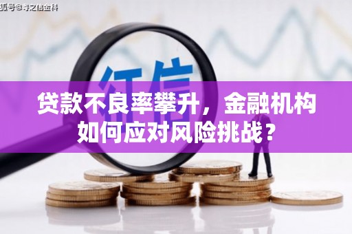 巩义贷款不良率攀升，金融机构如何应对风险挑战？
