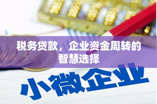 巩义税务贷款，企业资金周转的智慧选择