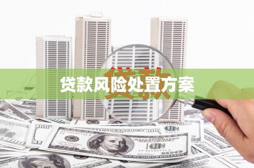 巩义贷款风险处置方案