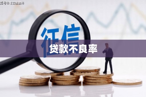 巩义贷款不良率