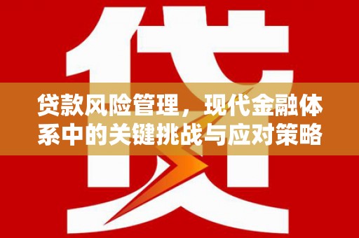 巩义贷款风险管理，现代金融体系中的关键挑战与应对策略