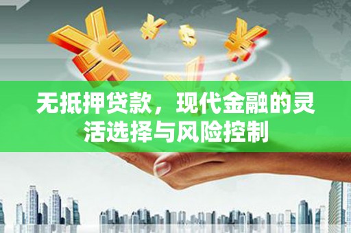巩义无抵押贷款，现代金融的灵活选择与风险控制