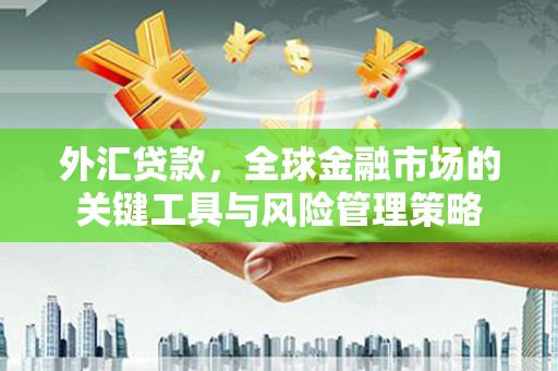 巩义外汇贷款，全球金融市场的关键工具与风险管理策略