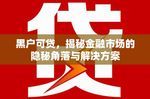 巩义黑户可贷，揭秘金融市场的隐秘角落与解决方案