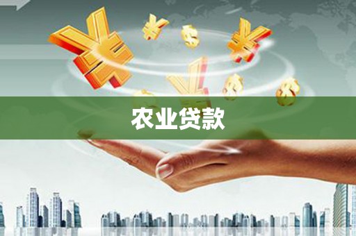 巩义农业贷款
