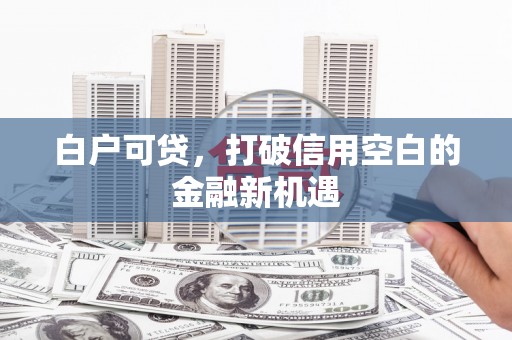 巩义白户可贷，打破信用空白的金融新机遇