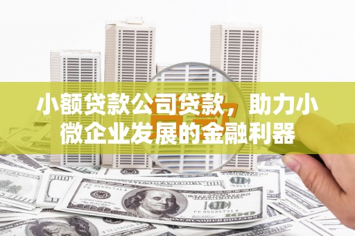巩义小额贷款公司贷款，助力小微企业发展的金融利器