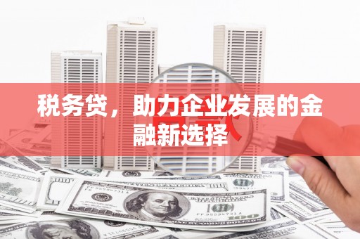 巩义税务贷，助力企业发展的金融新选择