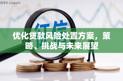 巩义优化贷款风险处置方案，策略、挑战与未来展望
