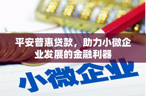 巩义平安普惠贷款，助力小微企业发展的金融利器