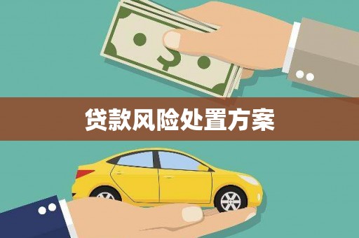 巩义贷款风险处置方案