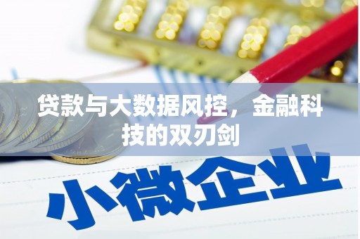 巩义贷款与大数据风控，金融科技的双刃剑
