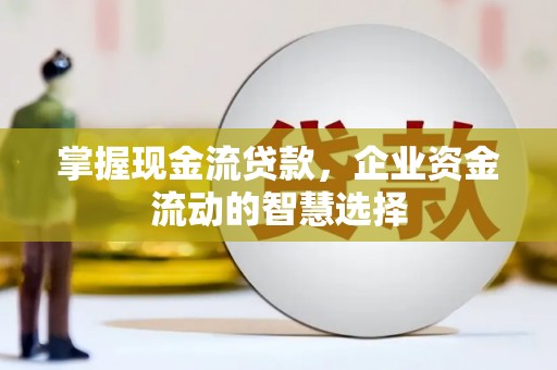 巩义掌握现金流贷款，企业资金流动的智慧选择