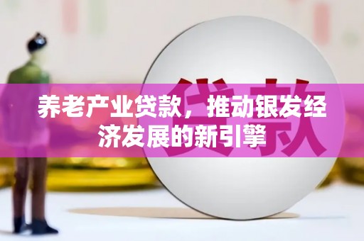 巩义养老产业贷款，推动银发经济发展的新引擎