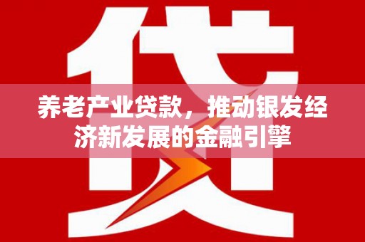 巩义养老产业贷款，推动银发经济新发展的金融引擎