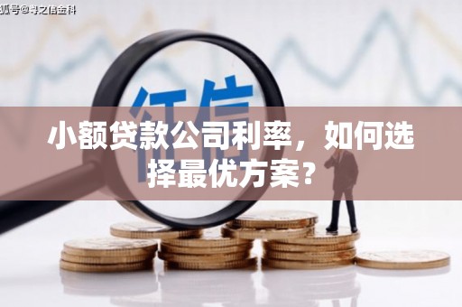 巩义小额贷款公司利率，如何选择最优方案？