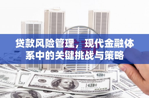 巩义贷款风险管理，现代金融体系中的关键挑战与策略