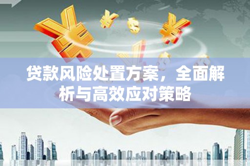 巩义贷款风险处置方案，全面解析与高效应对策略