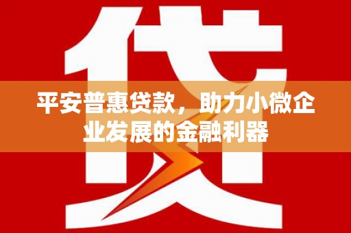 巩义平安普惠贷款，助力小微企业发展的金融利器