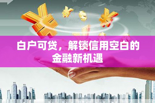 巩义白户可贷，解锁信用空白的金融新机遇