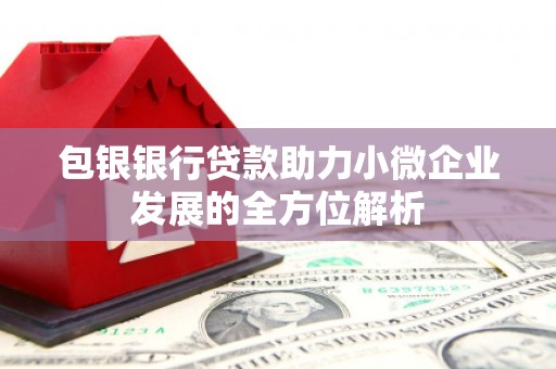 巩义包银银行贷款助力小微企业发展的全方位解析