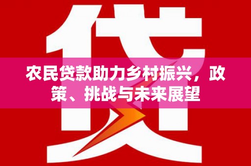 巩义农民贷款助力乡村振兴，政策、挑战与未来展望