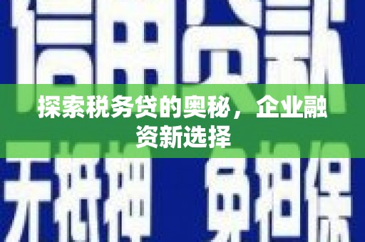 巩义探索税务贷的奥秘，企业融资新选择