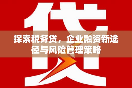 巩义探索税务贷，企业融资新途径与风险管理策略