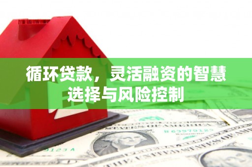 巩义循环贷款，灵活融资的智慧选择与风险控制