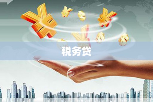 巩义税务贷