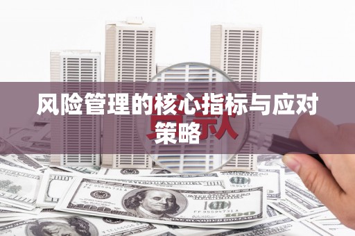 巩义风险管理的核心指标与应对策略