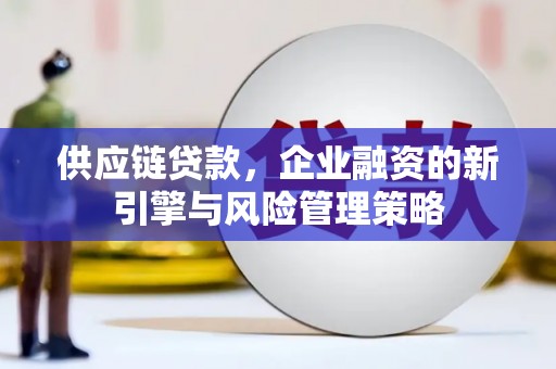 巩义供应链贷款，企业融资的新引擎与风险管理策略
