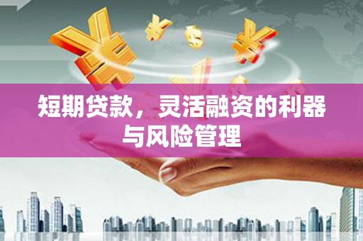 巩义短期贷款，灵活融资的利器与风险管理