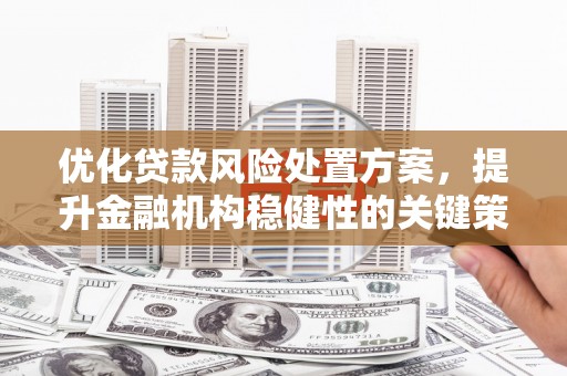 巩义优化贷款风险处置方案，提升金融机构稳健性的关键策略
