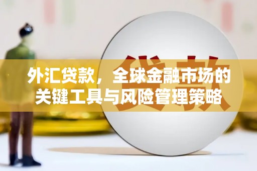 巩义外汇贷款，全球金融市场的关键工具与风险管理策略