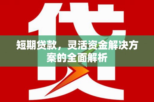 巩义短期贷款，灵活资金解决方案的全面解析