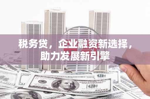 巩义税务贷，企业融资新选择，助力发展新引擎