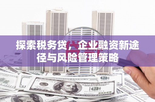 巩义探索税务贷，企业融资新途径与风险管理策略